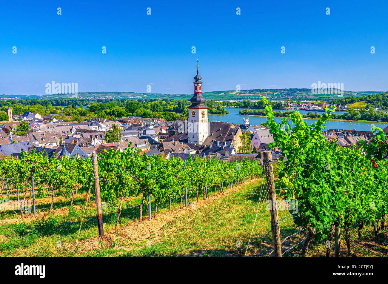 Vista aerea dei vigneti regione vinicola del Rheingau, centro storico di Rudesheim am Rhein con la chiesa di San Jakobus e il fiume Reno, cielo blu sfondo, Renania-Palatinato e stati dell'Assia, Germania Foto Stock