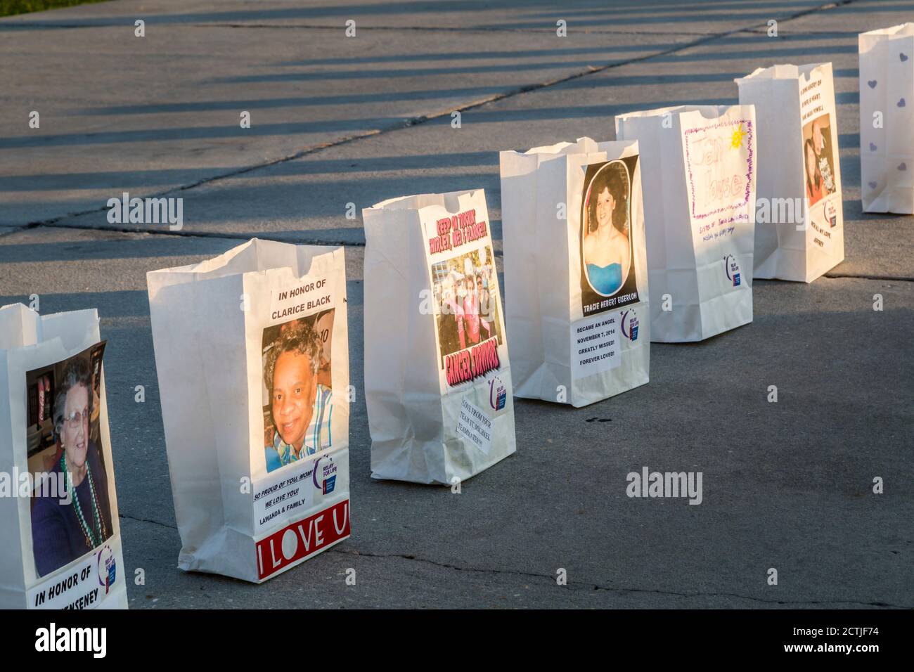 I luminari di sacchetti di carta onorano i sopravvissuti al cancro in occasione di un evento American Cancer Society Relay for Life a Gulfport, Mississippi Foto Stock
