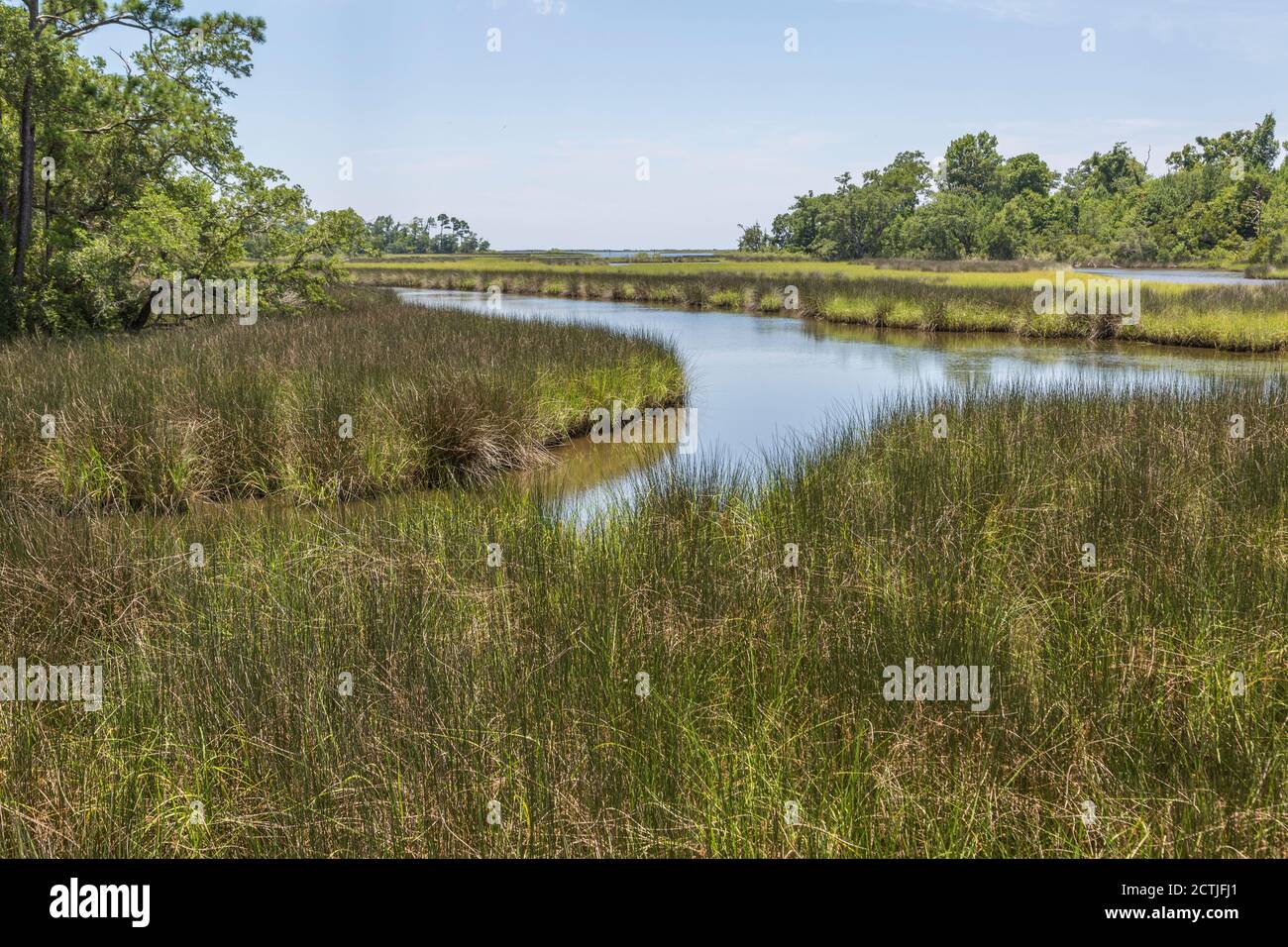 Zone umide di Salt Marsh presso la zona di Davis Bayou del litorale nazionale delle isole del Golfo in Ocean Springs, Mississippi Foto Stock