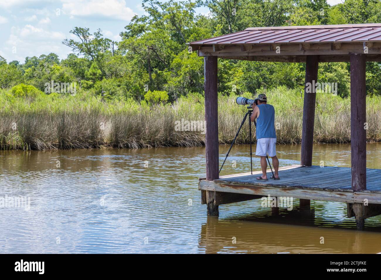 Fotografo che fotografa la fauna selvatica nella zona di Davis Bayou del Gulf Islands National Seashore a Ocean Springs, Mississippi Foto Stock