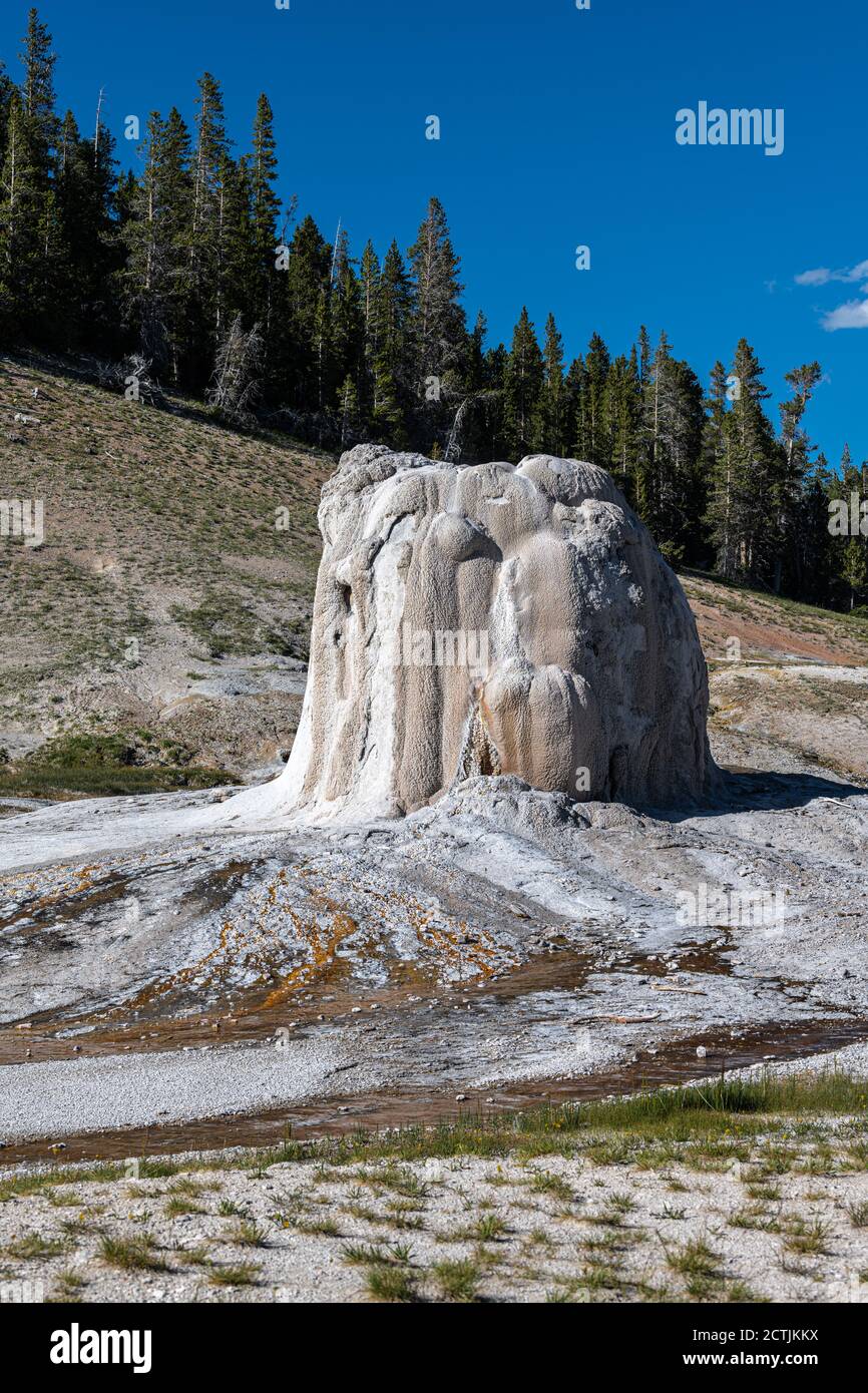 Lone Star Geyser, il Parco Nazionale di Yellowstone Foto Stock