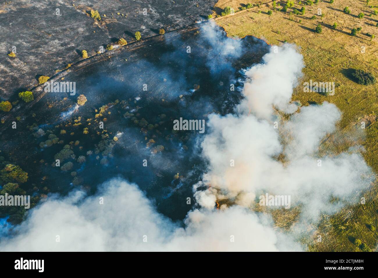 Prato e fuoco di foresta, legno naturale che brucia con fiamma e fumo, vista aerea superiore. Foto Stock