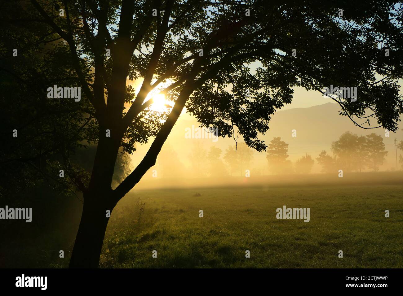 La luce del sole si rompe attraverso la nebbia autunnale del terreno Foto Stock