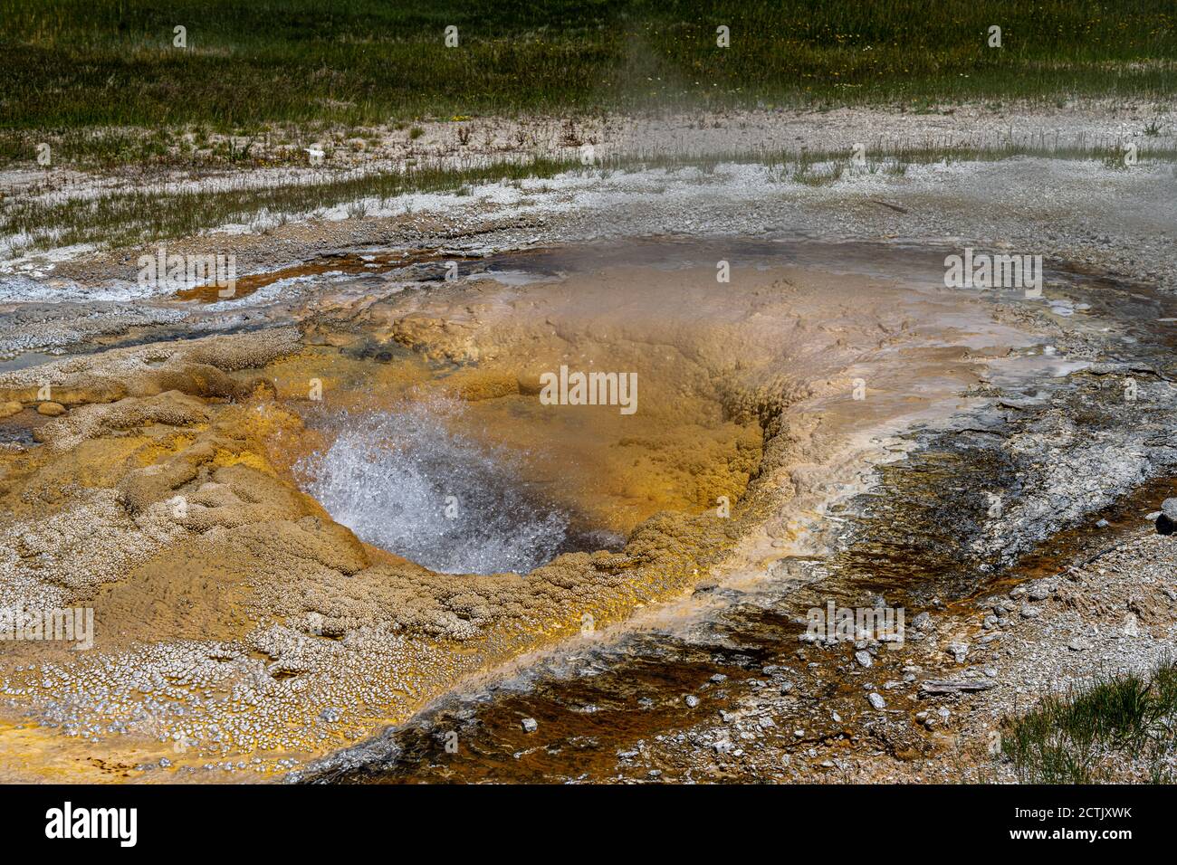 Pompa Geyser, Upper Geyser Basin Area, Yellowstone National Park Foto Stock