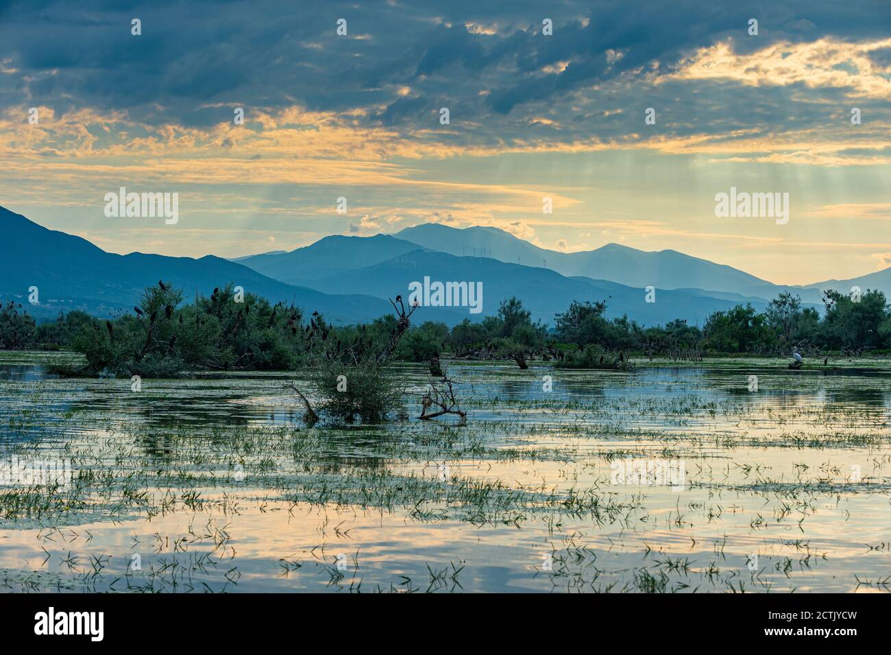 Lago Kerkini all'alba, Macedonia, Grecia Foto Stock
