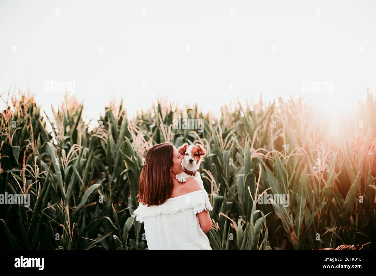 Vista posteriore di giovane donna con cane a campo di mais durante tramonto Foto Stock