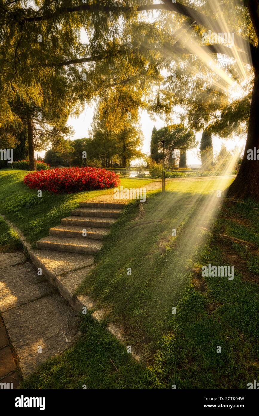 Raggi del sole attraverso il fogliame degli alberi all'interno del Parco Giardino di Sigurtà a Valeggio sul Mincio, vicino Verona (Italia). Foto Stock