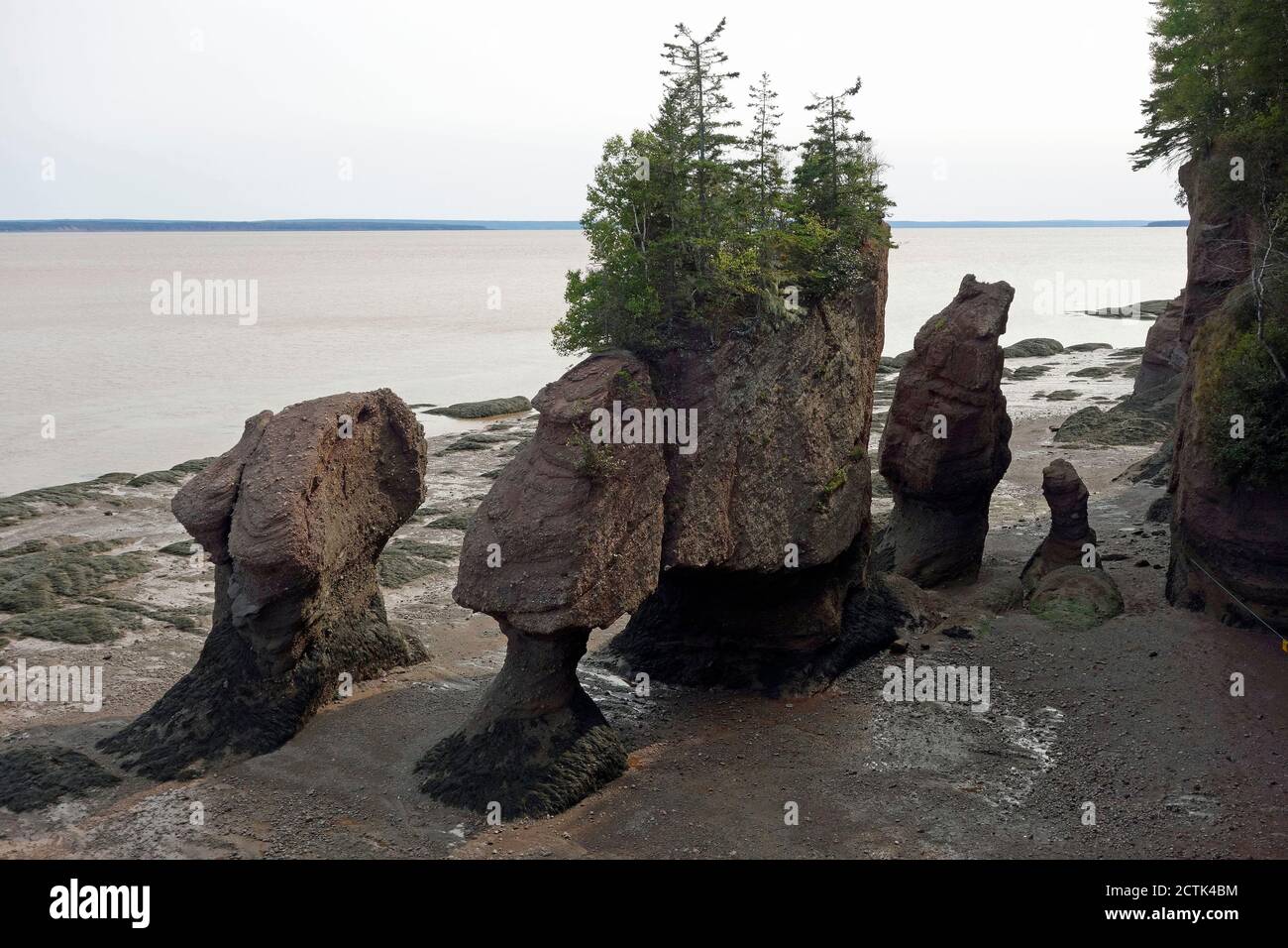 Hopewell Rocks, New Brunswick, Canada, 2020 Foto Stock