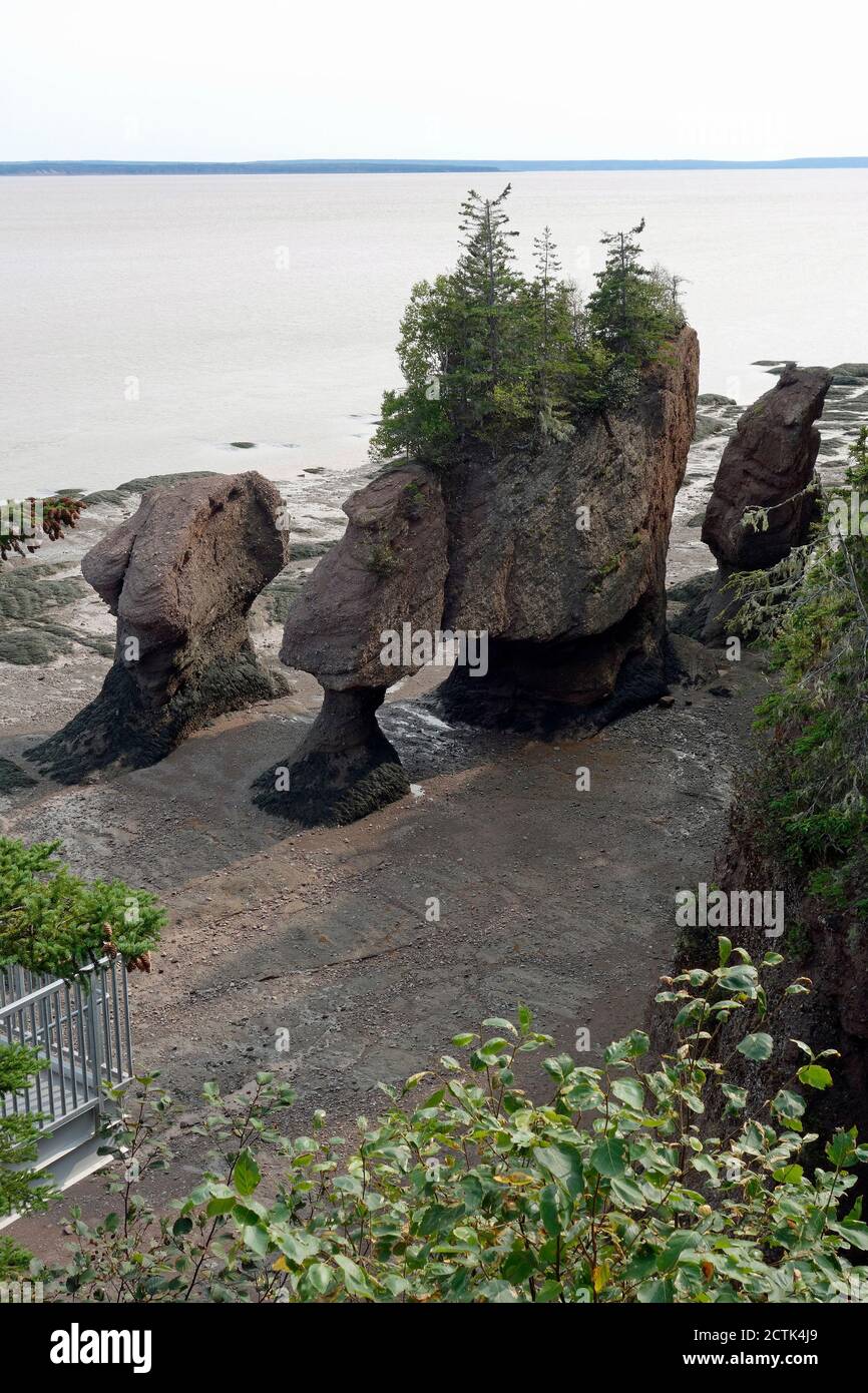 Hopewell Rocks, New Brunswick, Canada 2020 Foto Stock
