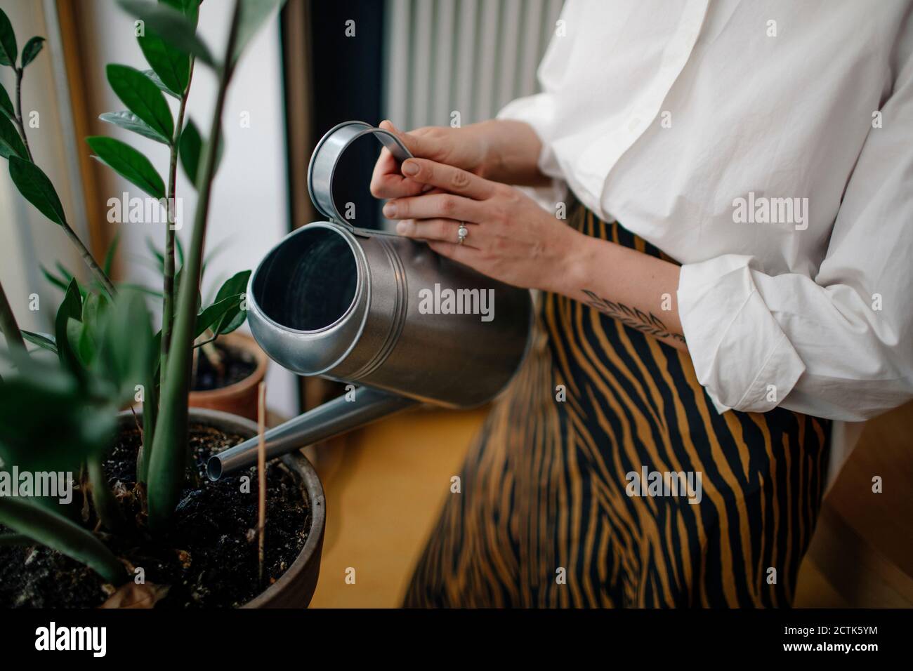 Primo piano di una donna che annaffia piante in vaso in caffetteria Foto Stock