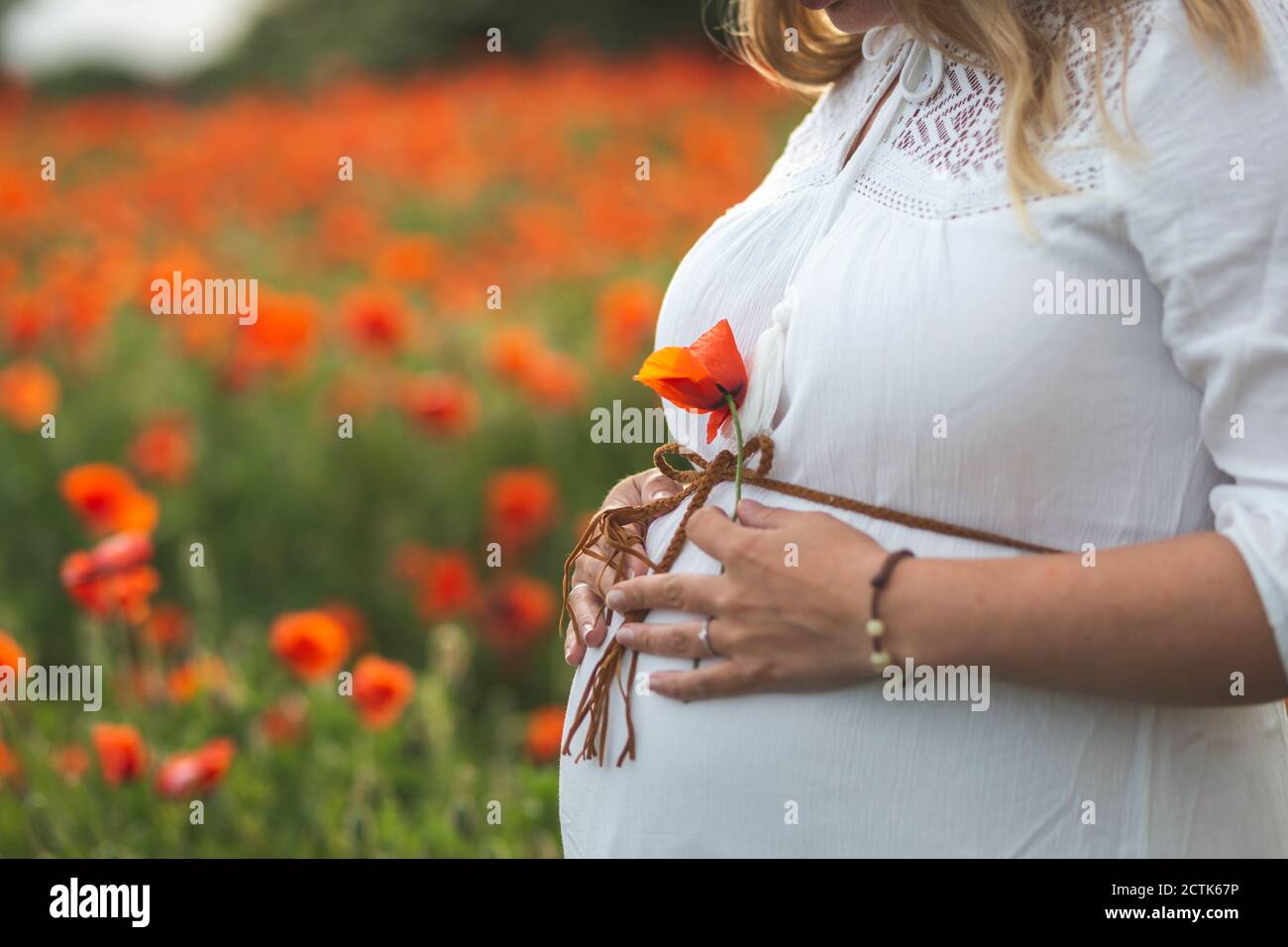 Primo piano di una donna incinta con le mani sullo stomaco che tiene papavero Foto Stock