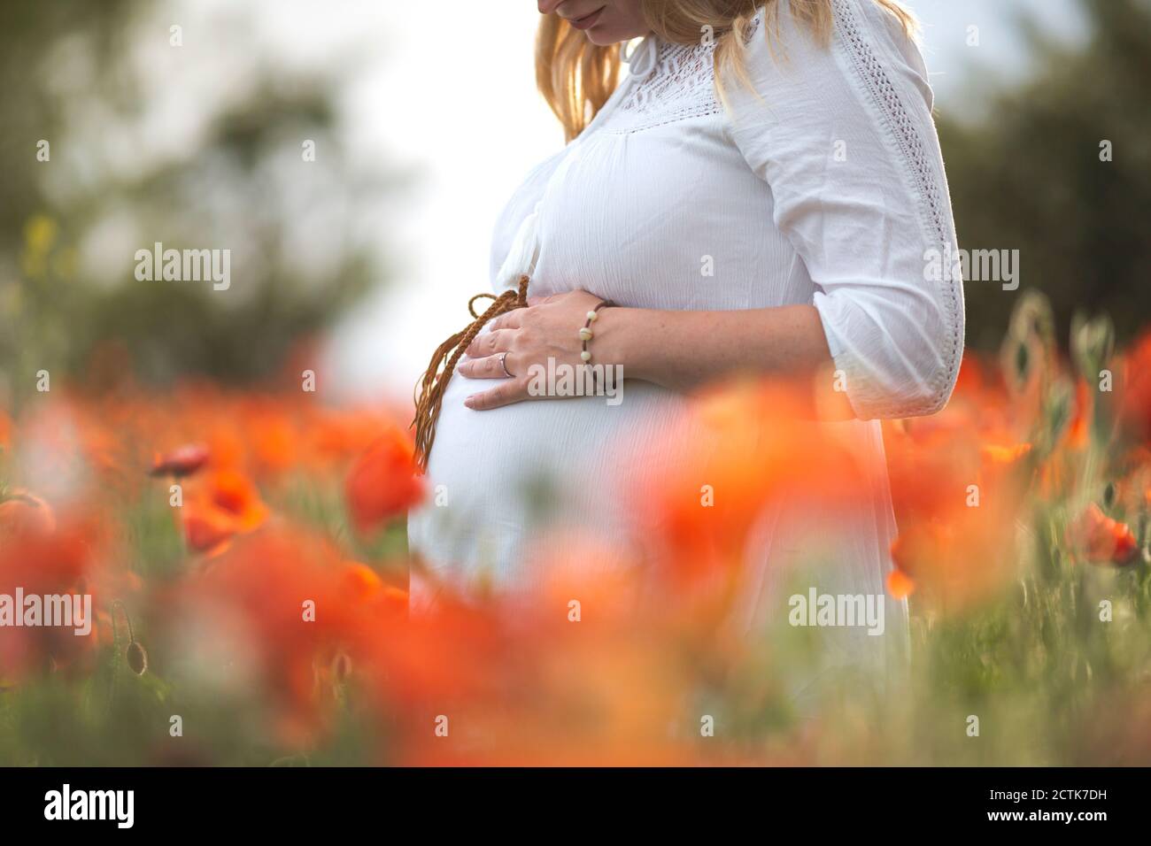 Primo piano di una donna incinta con le mani sullo stomaco in papavero campo Foto Stock