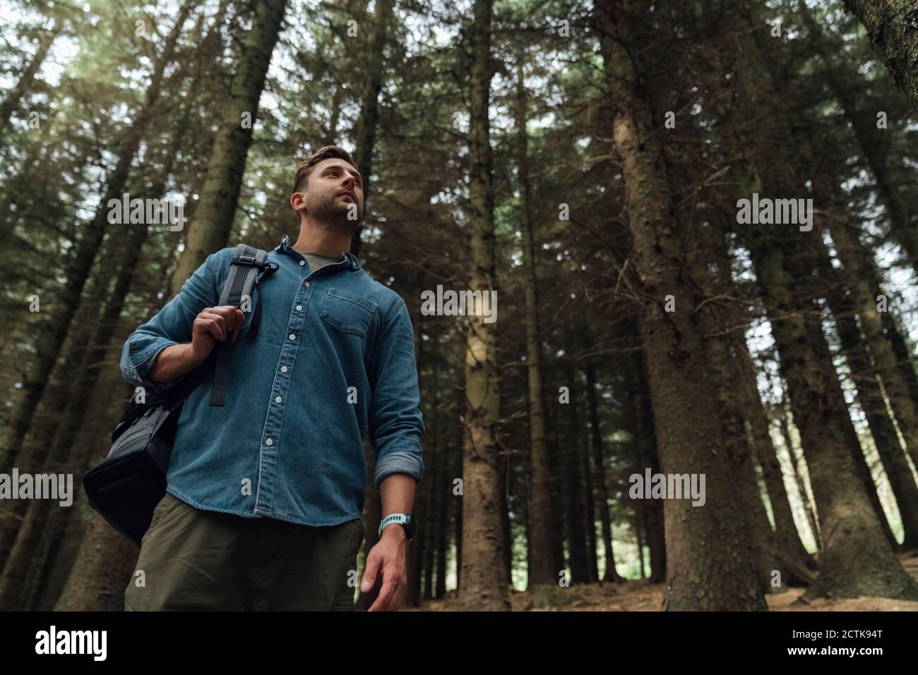 Uomo medio adulto che contempla mentre si trova contro gli alberi nella foresta Foto Stock