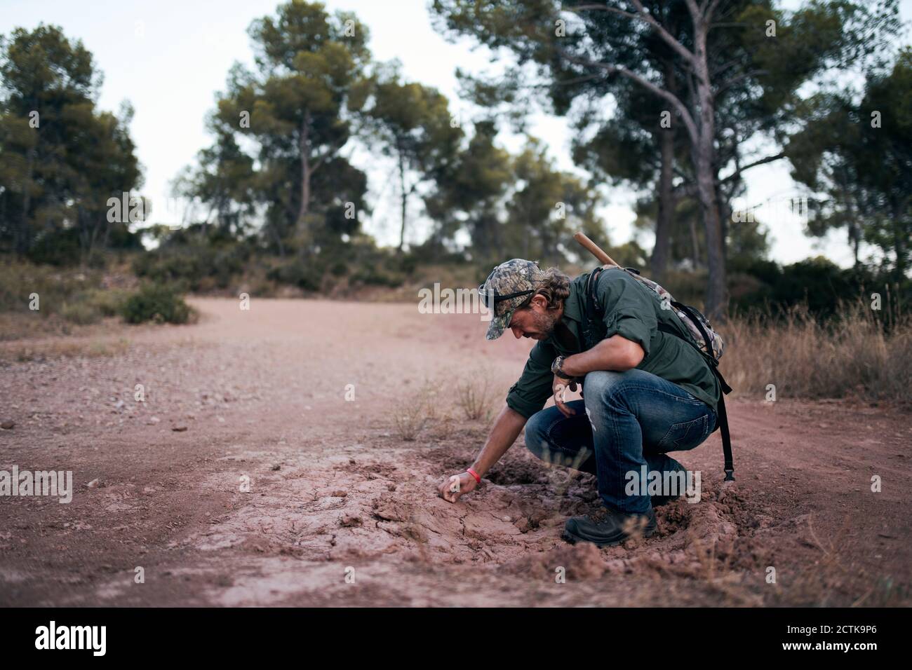 Uomo maturo che esamina il suolo in foresta Foto Stock