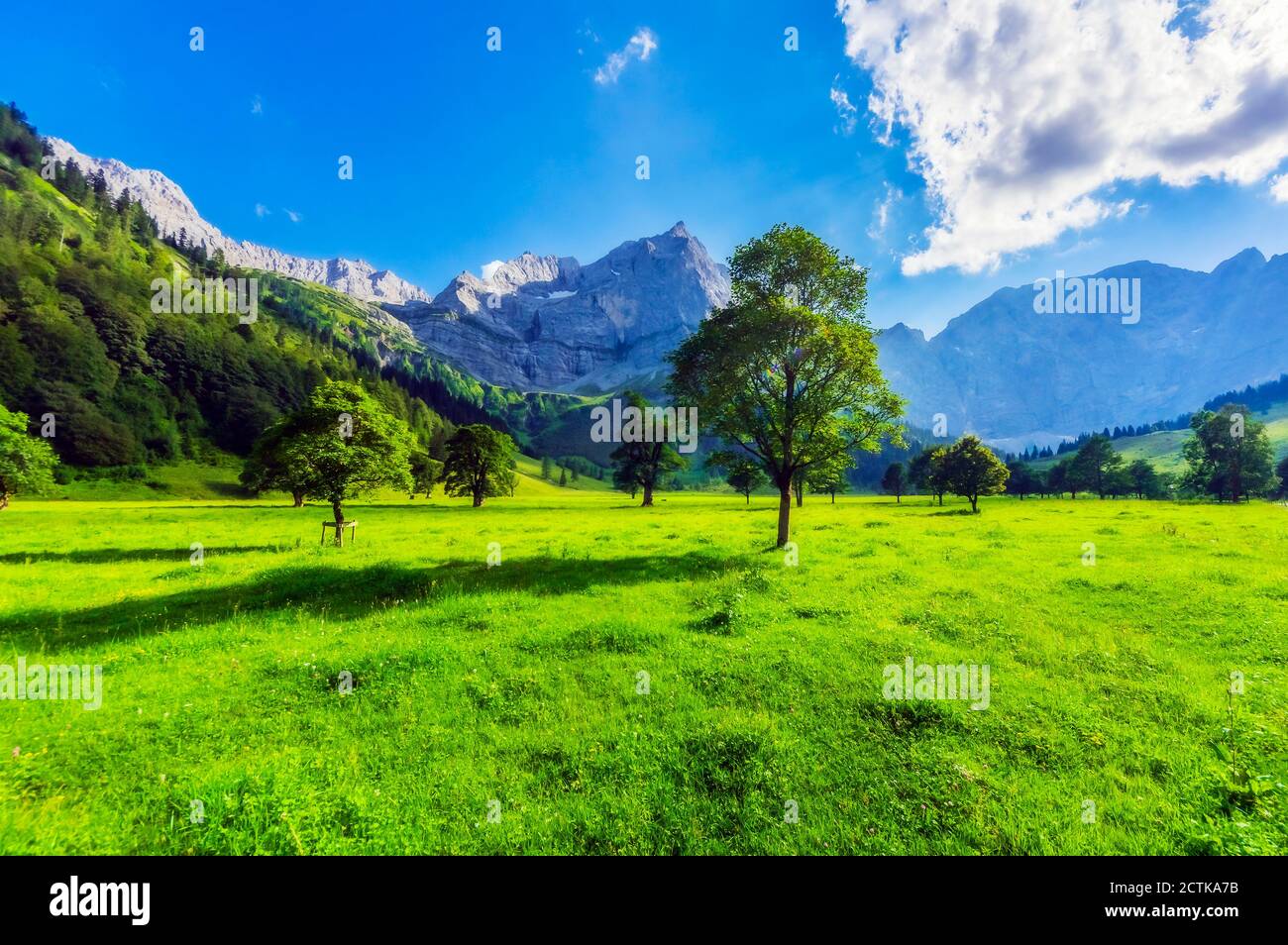 Austria, Tirolo, Vomp, vibrante paesaggio verde della bassa Valle d'Inn in estate Foto Stock