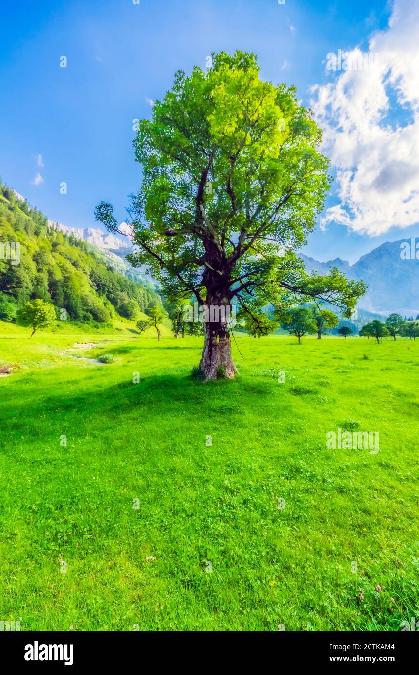 Austria, Tirolo, Vomp, vibrante paesaggio verde della bassa Valle d'Inn in estate Foto Stock