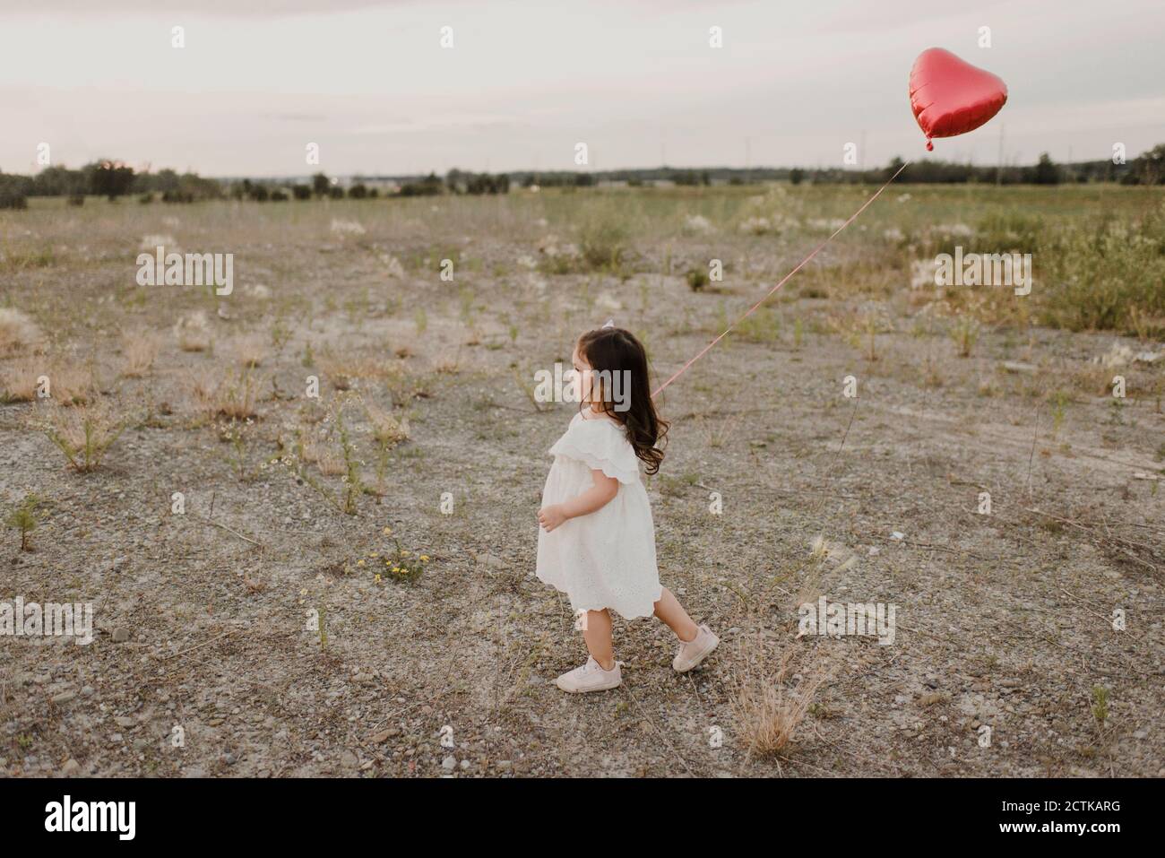 Ragazza carina con palloncino a forma di cuore che cammina nel campo Foto Stock