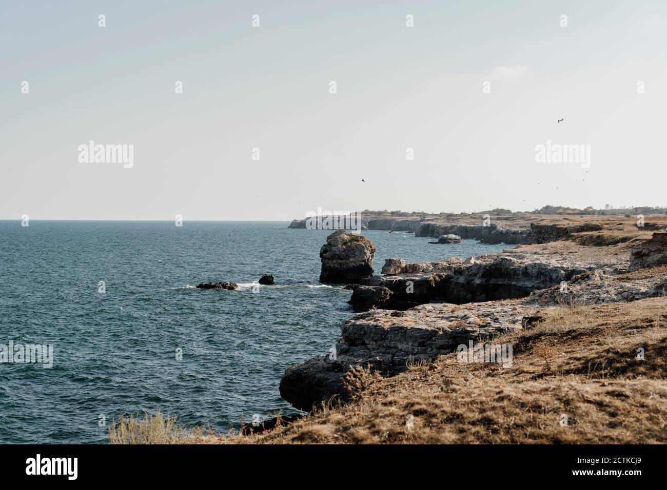 Scogliere costiere del Mar Nero Foto Stock