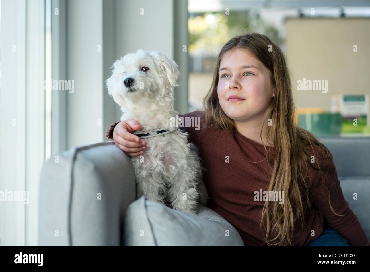 Ragazza carina con il cane che guarda via in soggiorno Foto Stock