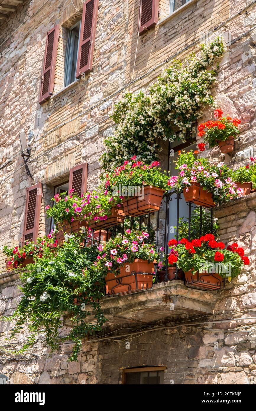 Assisi, Umbria, Italia. Giardino fiorito in vaso di gerani e altri fiori su un balcone di casa di qualcuno. (Solo per uso editoriale) Foto Stock