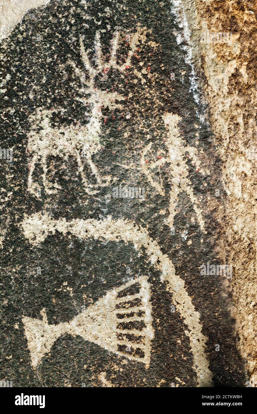 Parco statale della foresta pietrificata di Ginkgo, Vintage, Washington, USA. Petroglyph disegno preistorico su roccia. Foto Stock