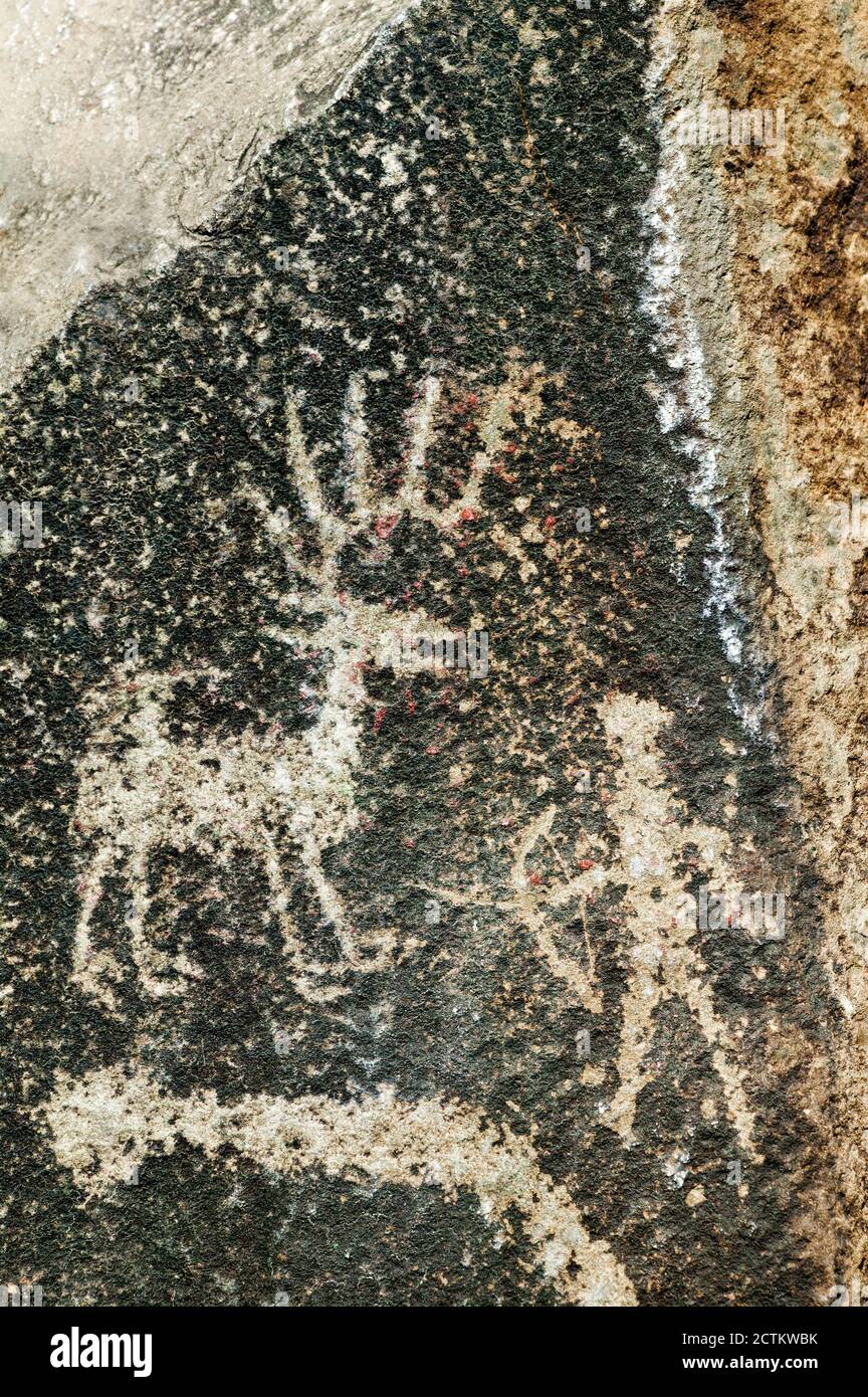 Parco statale della foresta pietrificata di Ginkgo, Vintage, Washington, USA. Petroglyph disegno preistorico su roccia. Foto Stock