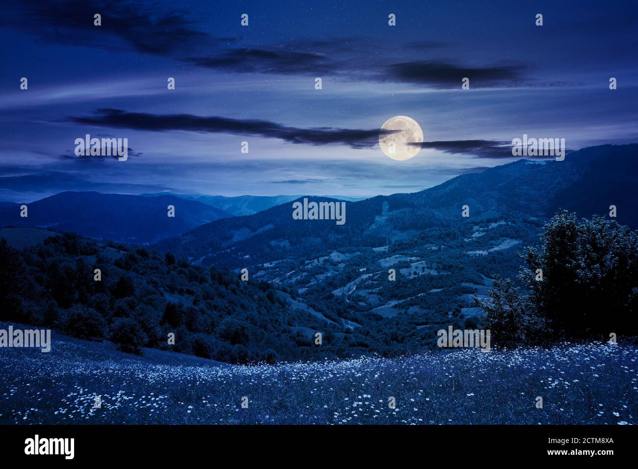 pascolo in una giornata di sole in montagna di notte. meraviglioso paesaggio di campagna dei carpazi in piena luce lunare. nuvole soffici sul cielo Foto Stock