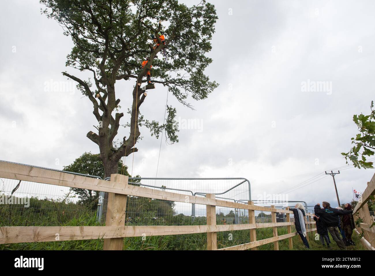 Steeple Claydon, 23 settembre 2020. Un piccolo gruppo di persone locali e attivisti anti-HS2 con sede presso il vicino Poors Piece Conservation Project guarda i chirurghi degli alberi che lavorano con il National Eviction Team per conto di HS2 Ltd cadde un albero di querce di 200 anni lungo la rotta della East West Rail conosciuta localmente come le Ô7 Sorelle OakÕ AS Parte dei lavori collegati al collegamento ferroviario ad alta velocità HS2. L'abbattimento dell'albero, che era sede di pipistrelli e altre specie, è stato facilitato da una forza congiunta di circa cinquanta bailiffs, guardie di sicurezza e agenti di polizia dalla polizia della Thames Valley. Credito: Mark Kerrison/ Foto Stock