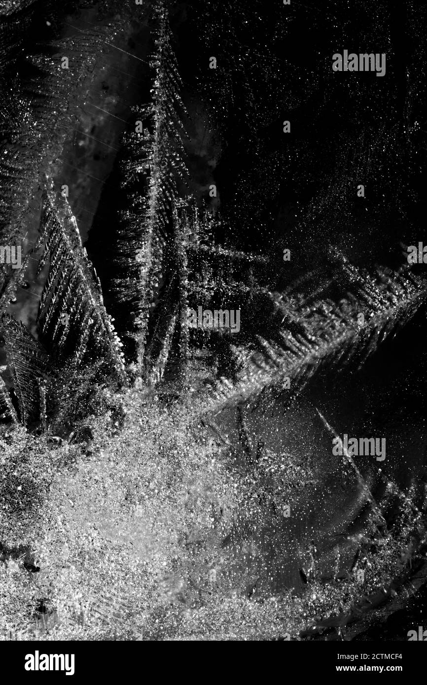 Bebedou Carte D Arte Bambino 7 Carte Ad Alto Contrasto In Bianco E Nero Per Lo Sviluppo Del Bambino Regalo Neonato Amazon It Giochi E Giocattoli