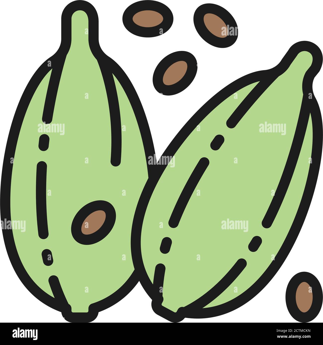 Cardamomo, icona della linea di colore piatto delle spezie. Isolato su sfondo bianco Illustrazione Vettoriale