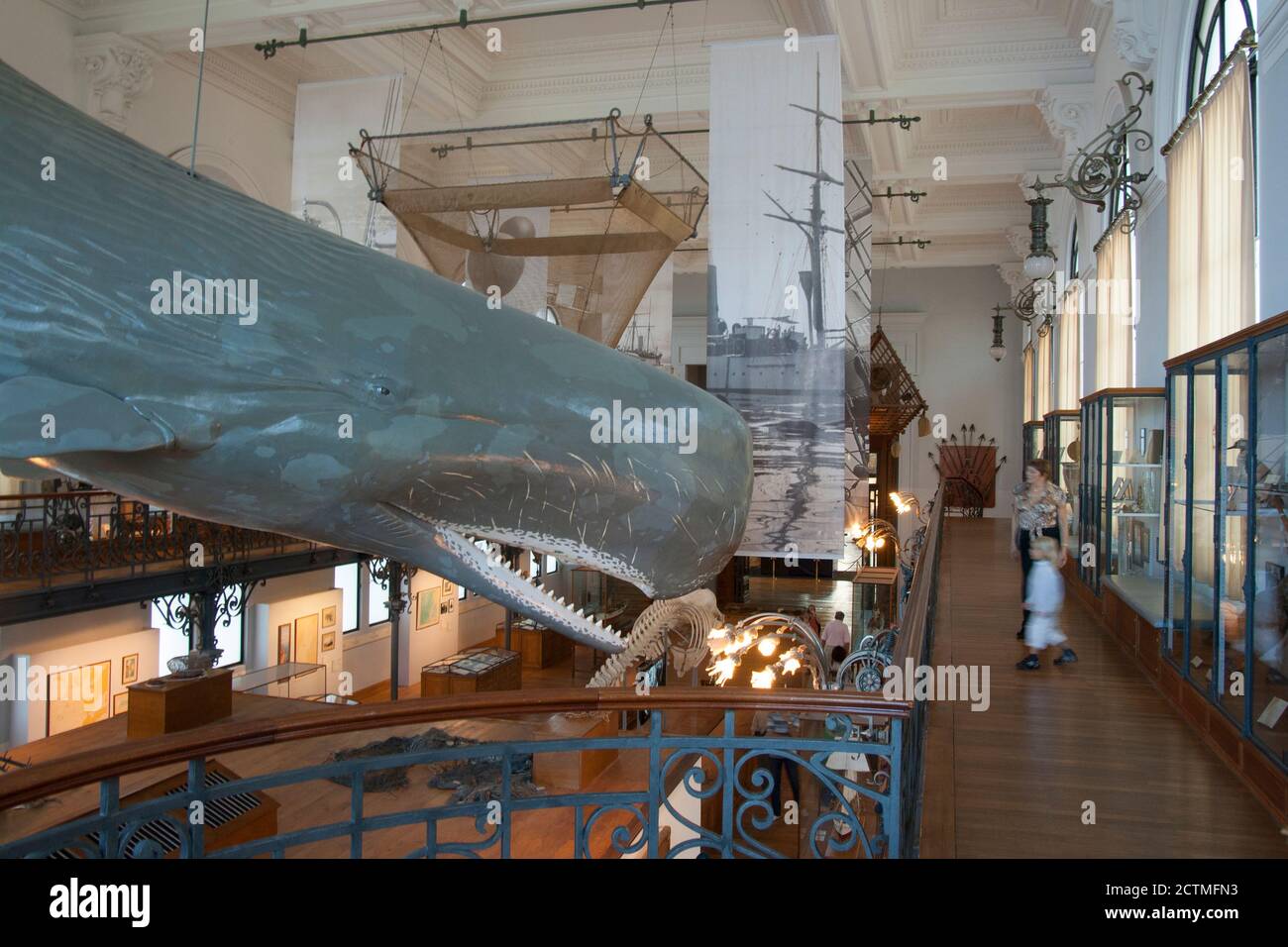 Monaco Oceanographic Museum piccolo capretto che ammira un mockup di una balena di sperma. Physeter macrocephalus o cachalot è la più grande delle balene dentate. Foto Stock
