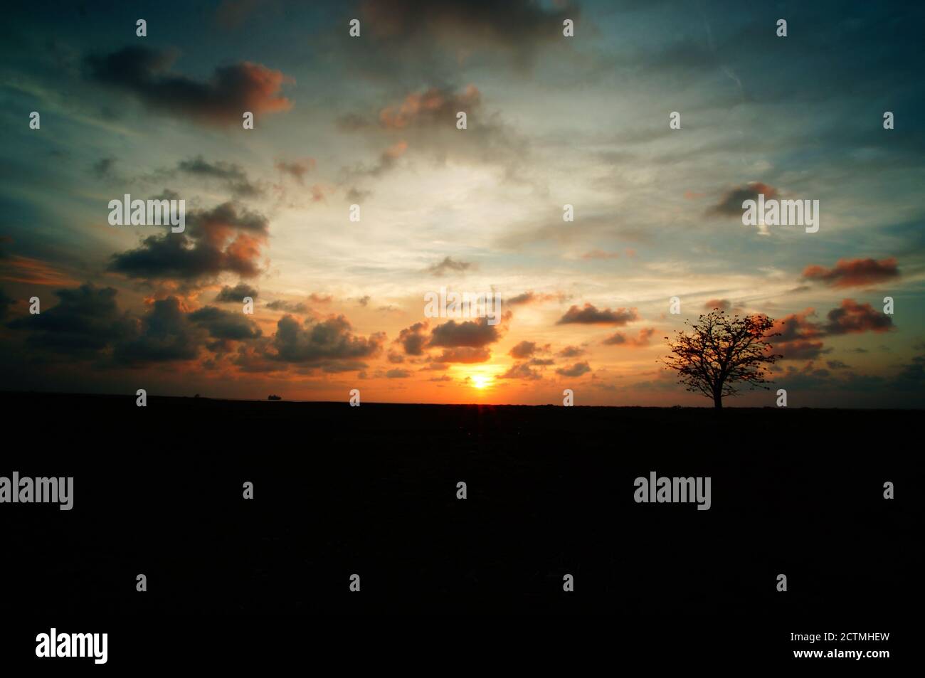 La bellezza del tramonto o dell'alba con le silhouette dell'albero Foto Stock