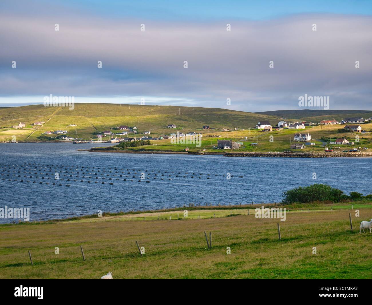 La remota comunità di Mid Yell sull'isola di Yell a Shetland, Scozia, Regno Unito - una fattoria di cozze coltivata a corda appare in primo piano. Foto Stock