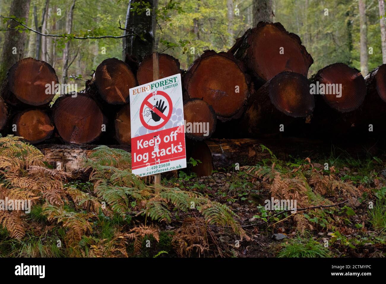 EUROFOREST Limited tenersi fuori dal log stack segno a Ennerdale, Lake District, Inghilterra, Regno Unito Foto Stock