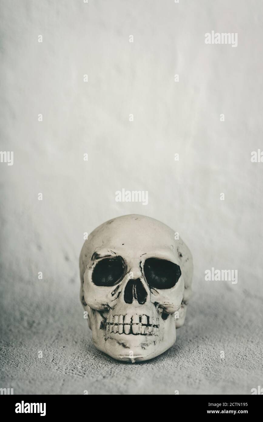 cranio di halloween su sfondo grunge Foto Stock