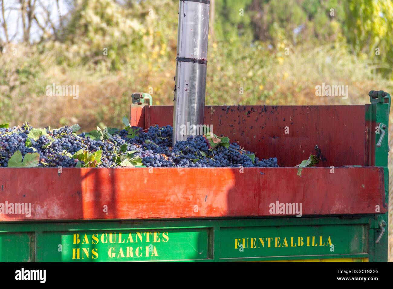 Il campionatore automatico per camion estrae l'uva dalla vendemmia a. analizzare il loro livello di glucosio e l'acidità per conoscere l'alcolizzato grado Foto Stock