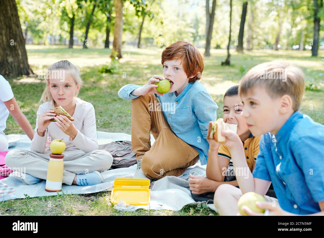 Gruppo di scolari seduti su coperte nel parco e avendo pausa pranzo dopo le lezioni Foto Stock