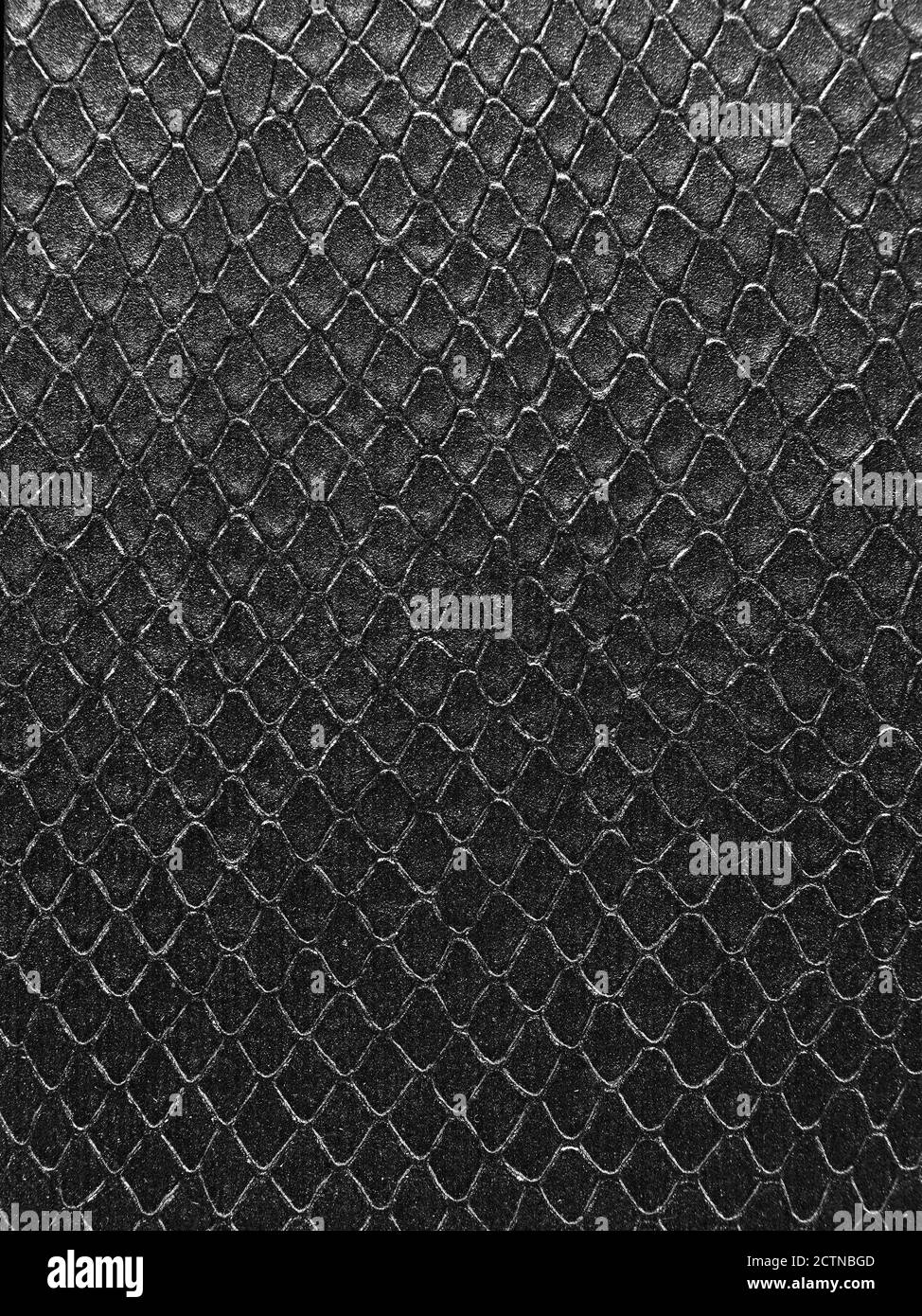 In pelle di serpente texture Foto Stock