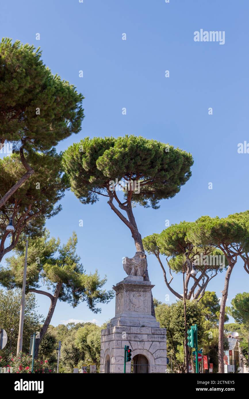 ROMA, ITALIA - 2014 AGOSTO 17. Scultura dell'aquila nella via di Roma. Foto Stock