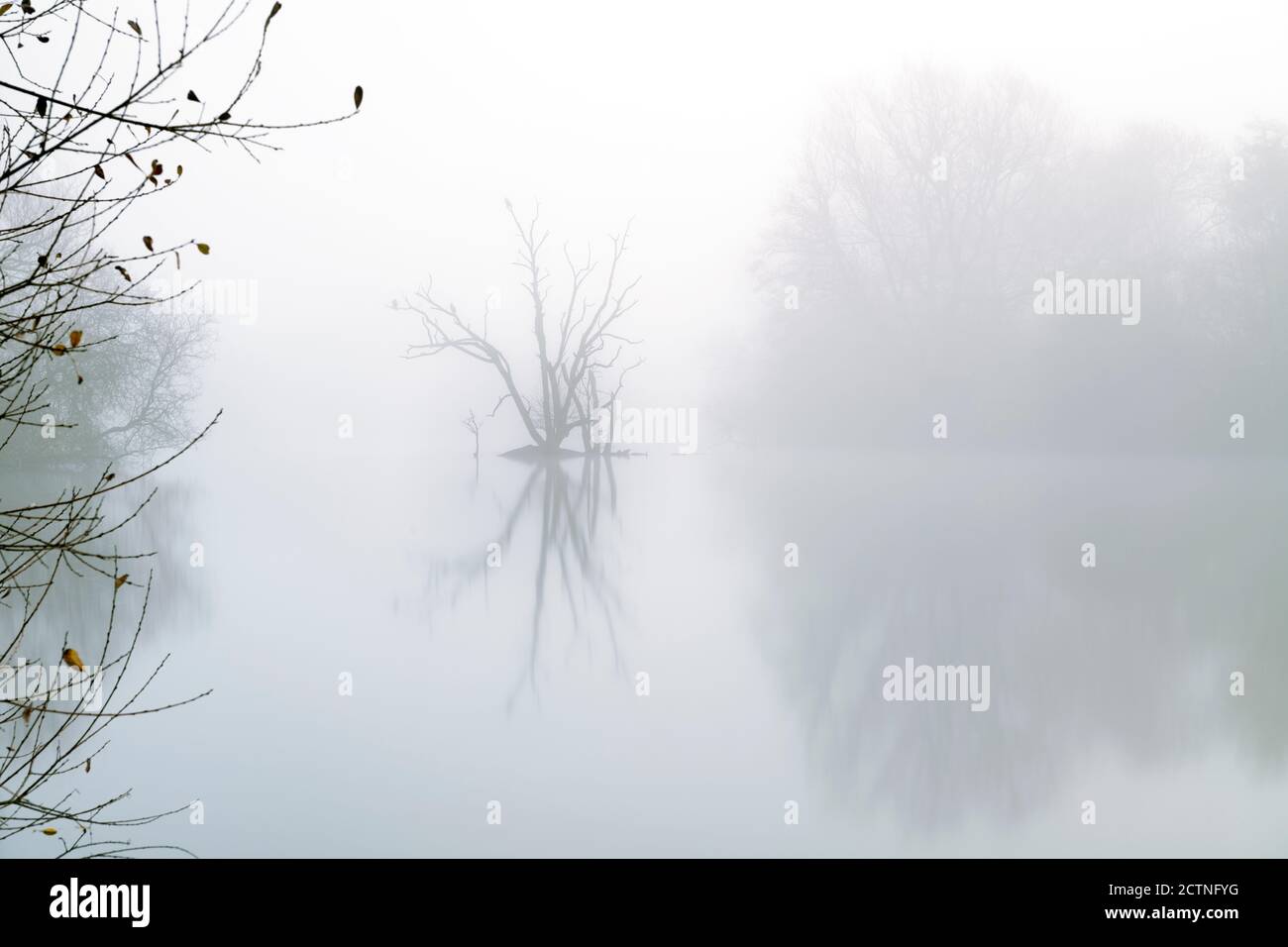 Nebbia su un lago con una piccola isola Foto Stock