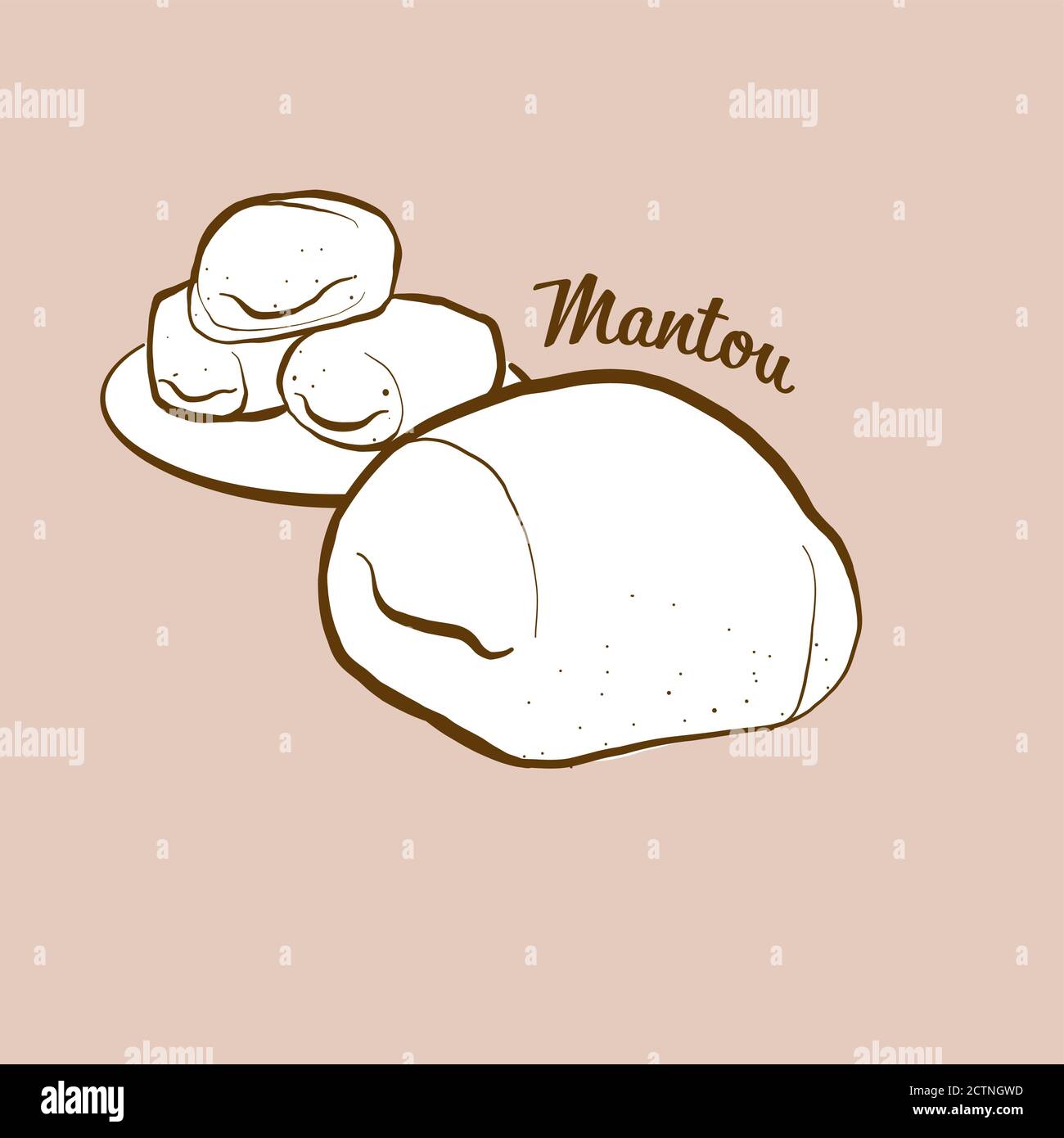 Illustrazione del pane di Mantou disegnato a mano. Il bun, solitamente conosciuto in Cina. Serie di disegni vettoriali. Illustrazione Vettoriale