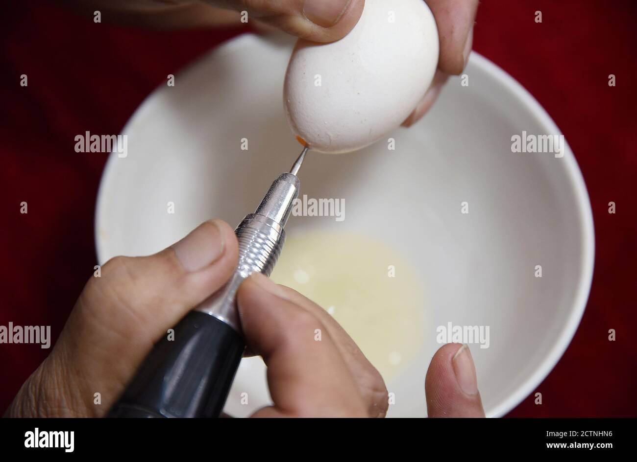 Hanan, provincia cinese di Hebei. 24 Settembre 2020. L'artigiano Zheng Qingshan svuota un uovo per l'intaglio nel distretto di Feixiang, nella città di Handan, nella provincia di Hebei della Cina settentrionale, 24 settembre 2020. Zheng Qingshan, 71 anni, lavora per l'intaglio delle uova da 18 anni. Con vari temi e tecniche sapienti, l'artigiano trasformò un certo numero di uova in squisite opere d'arte. Credit: Hao Qunying/Xinhua/Alamy Live News Foto Stock