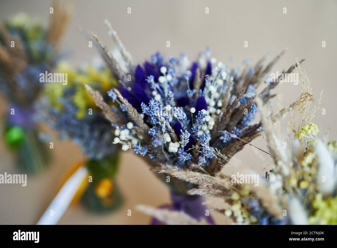 Bouquet di fiori secchi e colorati su sfondo beige. Luogo per testo e disegno. Biglietto d'auguri. Composizione dei fiori. Foto Stock