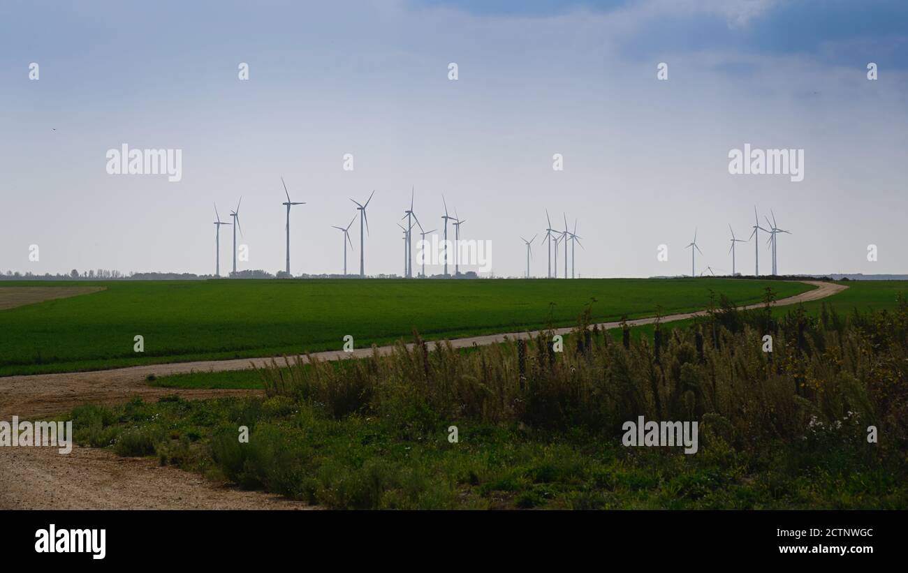 Turbine eoliche sul basso Reno Foto Stock
