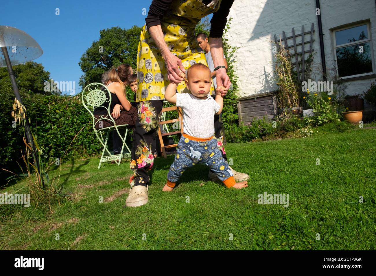 Nonno e nipote bambino imparando a camminare in giardino con la famiglia Durante la covid 19 pandemia in autunno sole Carmarthenshire Galles UK KATHY DEWITT Foto Stock