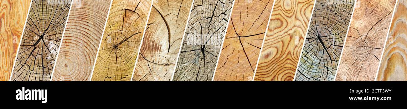 Collezione varie texture in legno separate linee oblique. Sfondo naturale Foto Stock