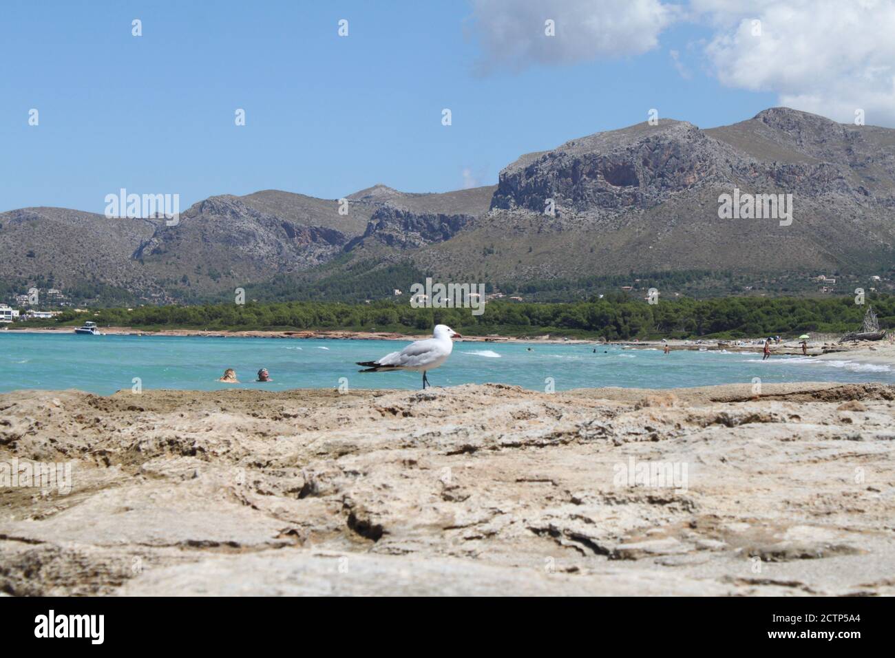 Son Serra de Marina Beach, situato nel nord dell'isola di Maiorca (Isole Baleari, Spagna). / ANA BORNAY Foto Stock
