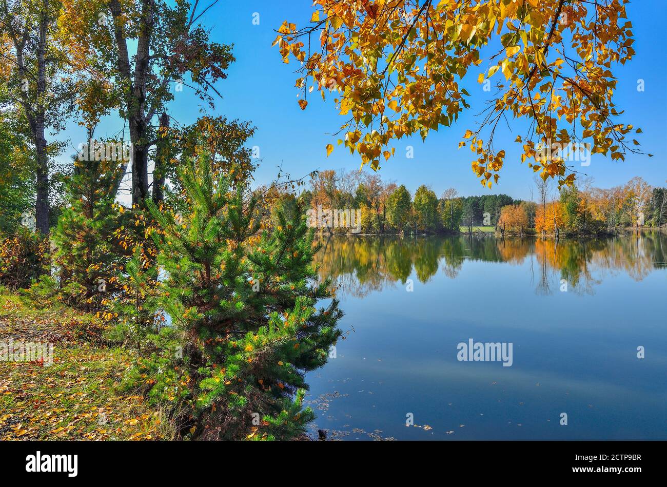 Caldo e soleggiato settembre paesaggio sulla riva del lago. Cielo blu e golden fogliame degli alberi si riflette nella superficie di acqua - La bellezza di autunno Foto Stock