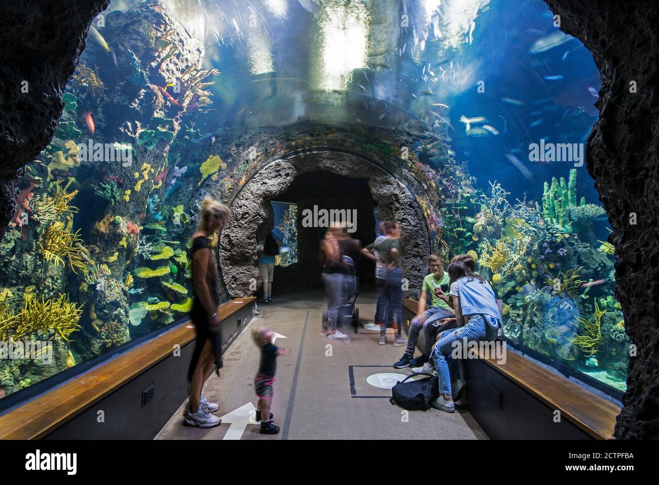 I visitatori che guardano i pesci di acqua salata all'Oceanium, acquario gigante di Diergaarde Blijdorp Zoo / Zoo di Rotterdam, Sud Olanda, Paesi Bassi Foto Stock