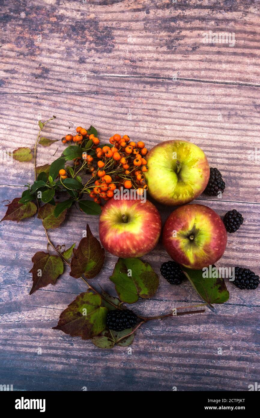 Un'immagine stagionale della natura morta dell'autunno. Foto Stock